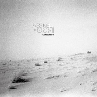 Audio Assikel 