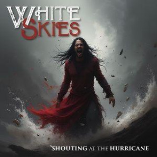 Audio Shouting At The Hurricane 