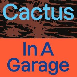 Audio In A Garage 