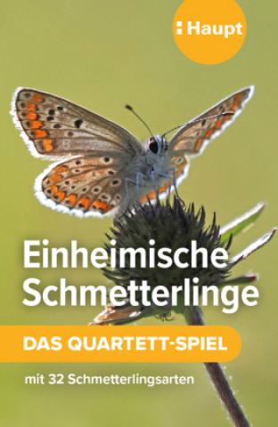 Juego/Juguete Einheimische Schmetterlinge - das Quartett-Spiel Mareike Possienke