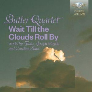 Audio Wait Till the Clouds Roll by 