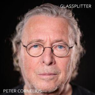 Audio Glassplitter 