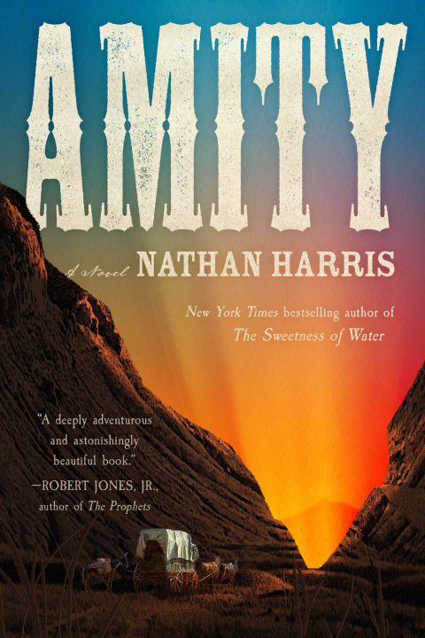 Kniha Amity 