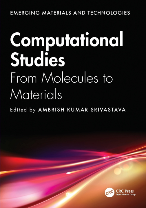 Könyv Computational Studies Ambrish Kumar Srivastava