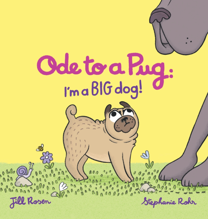 Kniha Ode to a Pug Jill Rosen