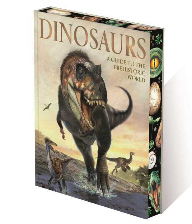 Kniha Dinosaurs Claudia Martin