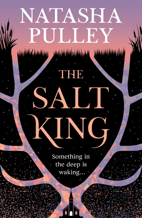 Knjiga The Salt King Natasha Pulley