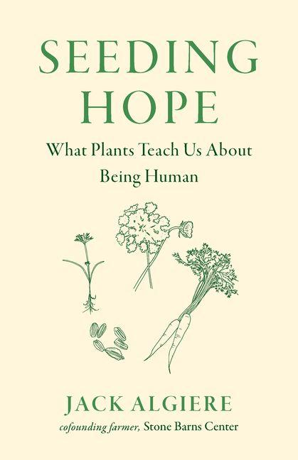 Book Seeding Hope ALGIERE JACK