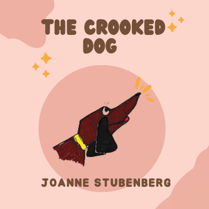 Kniha The Crooked Dog Joanne Stubenberg