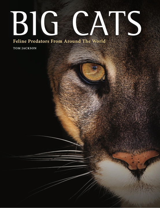 Kniha Big Cats Tom Jackson