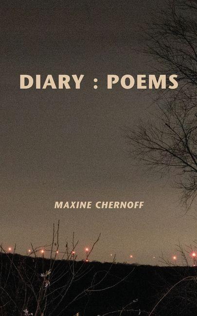 Kniha Diary 