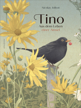 Kniha Tino Julia Braun