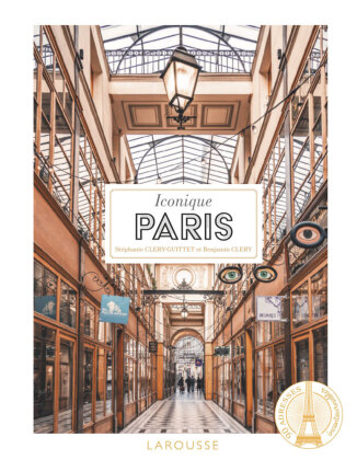 Kniha Charming Stores: PARIS Gregory Zäch