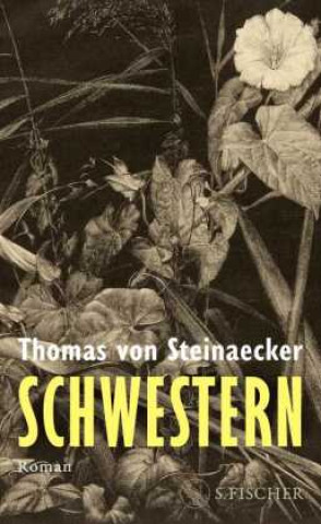 Kniha Schwestern Thomas von Steinaecker