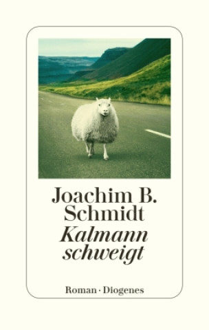 Buch Kalmann schweigt Joachim B. Schmidt