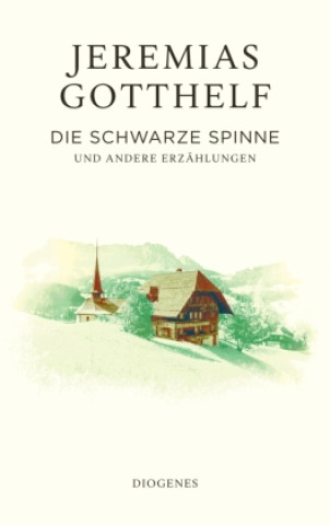 Könyv Die schwarze Spinne Philipp Theisohn
