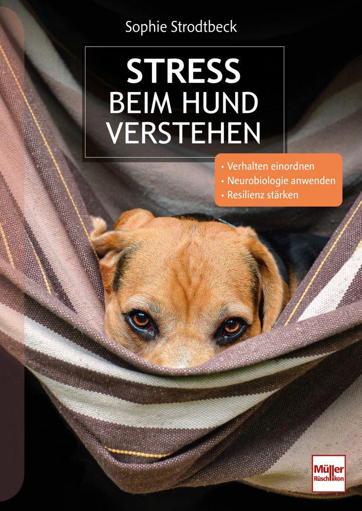 Книга Stress beim Hund verstehen Sophie Strodtbeck