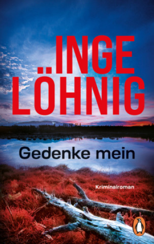 Buch Gedenke mein Inge Löhnig