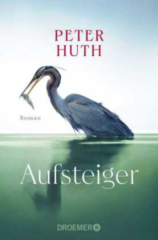 Kniha Aufsteiger Peter Huth