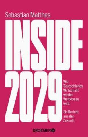 Buch Inside 2029 Sebastian Matthes