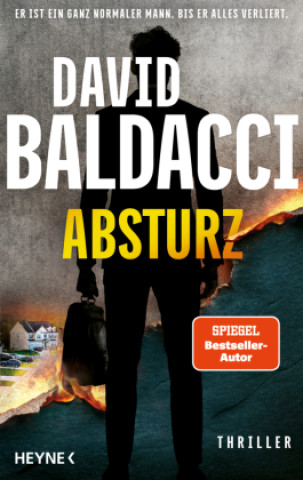 Kniha Absturz Norbert Jakober
