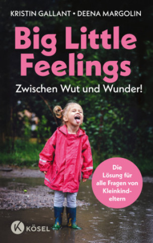 Книга Big Little Feelings Deena Margolin