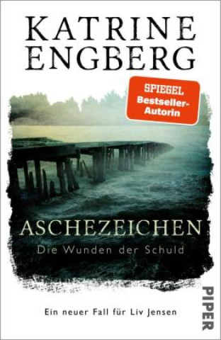 Könyv Aschezeichen Hanne Hammer