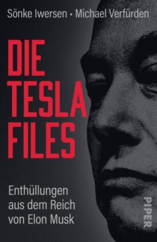 Book Die Tesla-Files Michael Verfürden