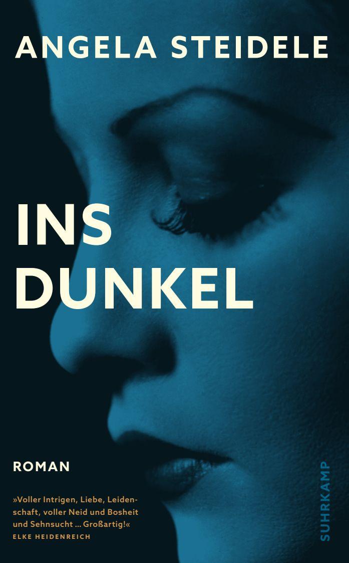 Knjiga Ins Dunkel Angela Steidele