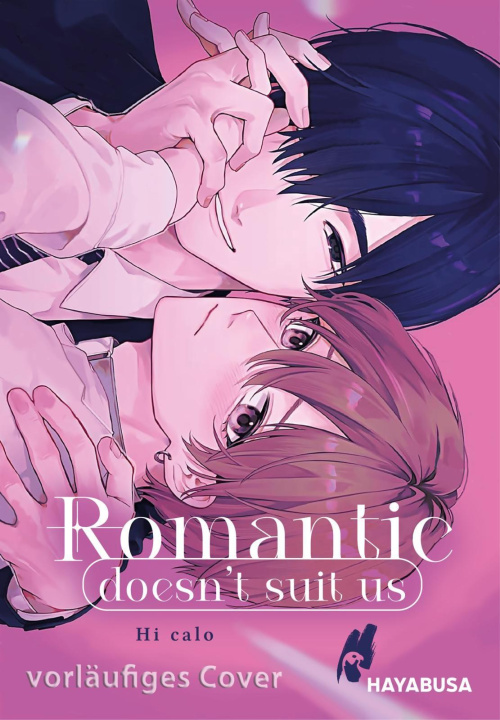 Book Romantic doesn't suit us Diana Hesse