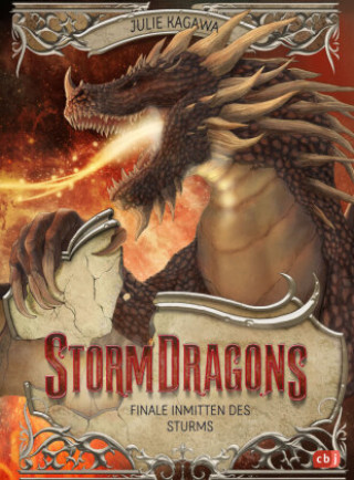Book Storm Dragons Tamara Reisinger