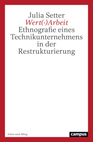 Kniha Wert(-)Arbeit Julia Setter