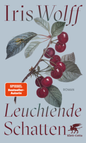 Book Leuchtende Schatten Iris Wolff