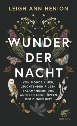 Kniha Wunder der Nacht Jörn Pinnow