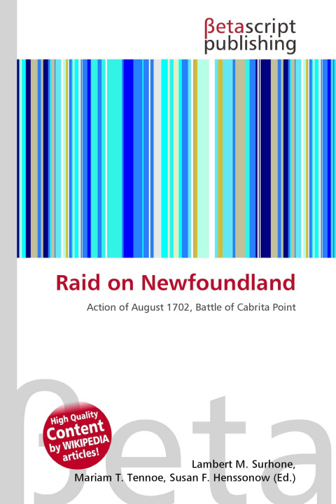 Kniha Raid on Newfoundland Mariam T. Tennoe