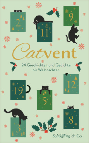Book Catvent Julia Bachstein