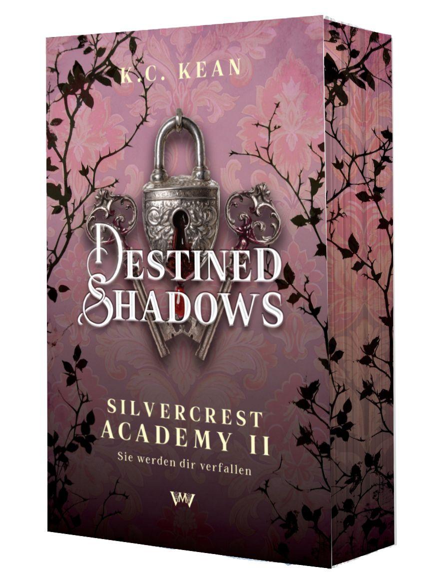 Buch Destined Shadows: Spicy Reverse Harem Dark Romantasy von Morgen Verlag