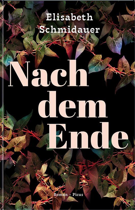 Kniha Nach dem Ende Elisabeth Schmidauer