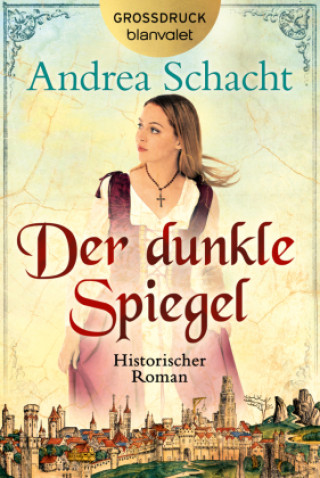 Kniha Der dunkle Spiegel Andrea Schacht