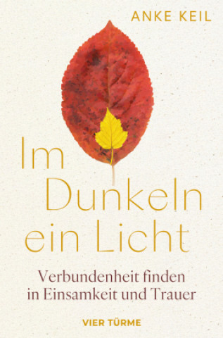 Kniha Im Dunkeln ein Licht Anke Keil