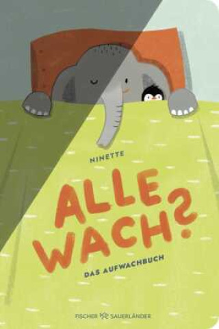 Kniha Alle wach? Ninette