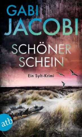 Book Schöner Schein Gabi Jacobi