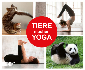 Carte Tiere machen Yoga 