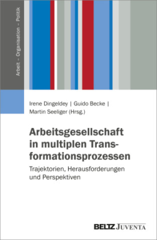 Book Arbeitsgesellschaft in multiplen Transformationsprozessen Guido Becke