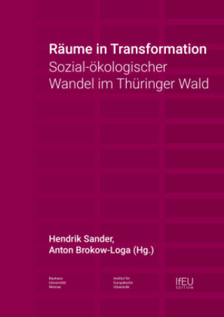 Book Räume in Transformation Anton Brokow-Loga