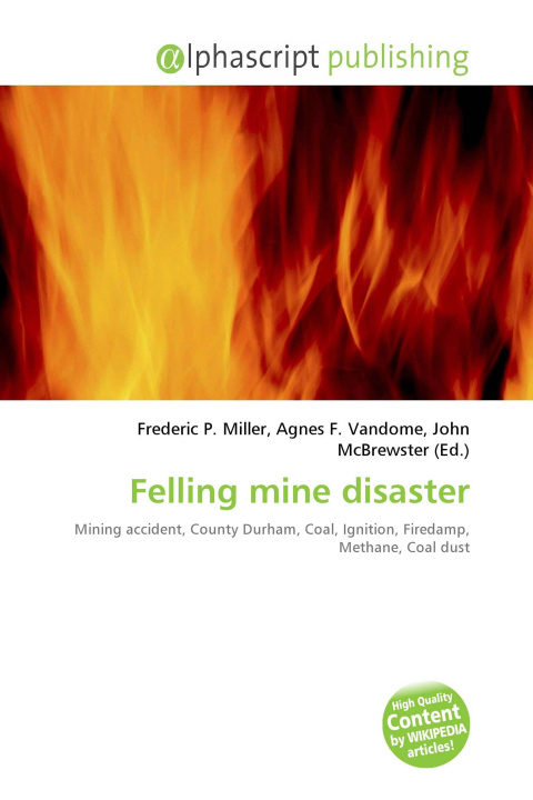 Kniha Felling mine disaster Agnes F. Vandome