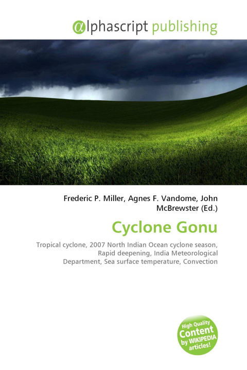 Kniha Cyclone Gonu 