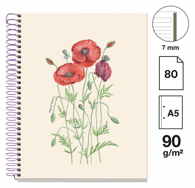 Papierenský tovar Poznámkový blok Entredos NB-1, A5, 90g, karton, 80 listů, linka - Papaver Rhoeda 