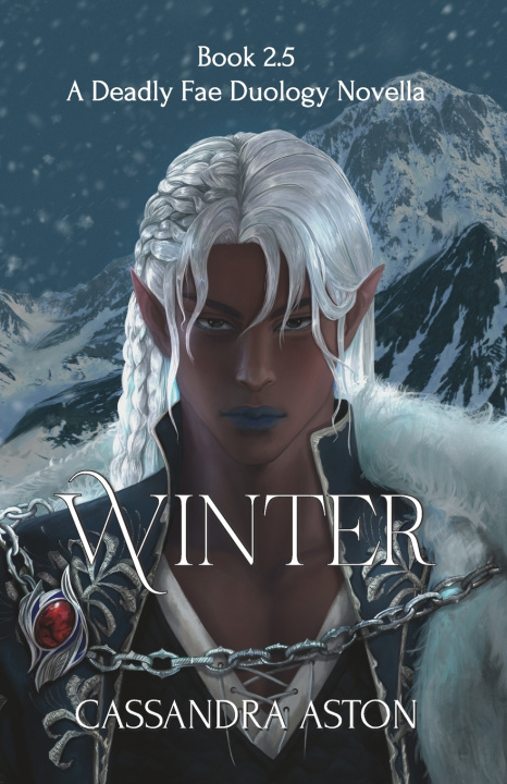 Kniha Winter Cassandra Aston