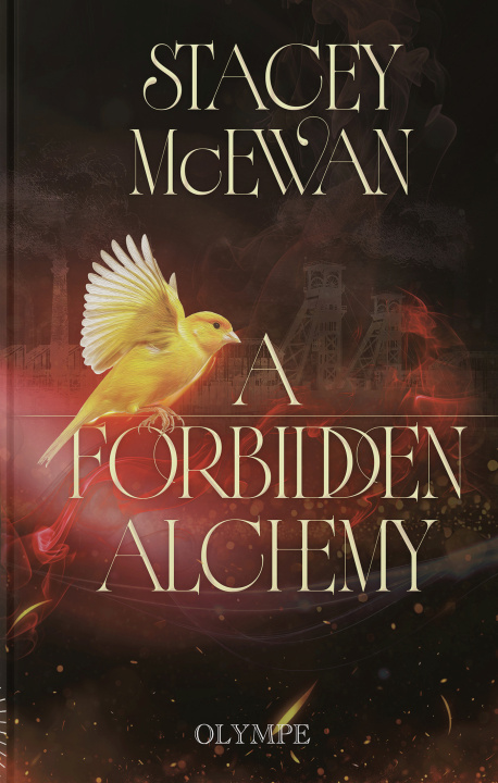 Kniha A Forbidden Alchemy McEwan